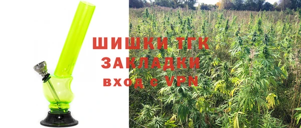 дмт Переславль-Залесский
