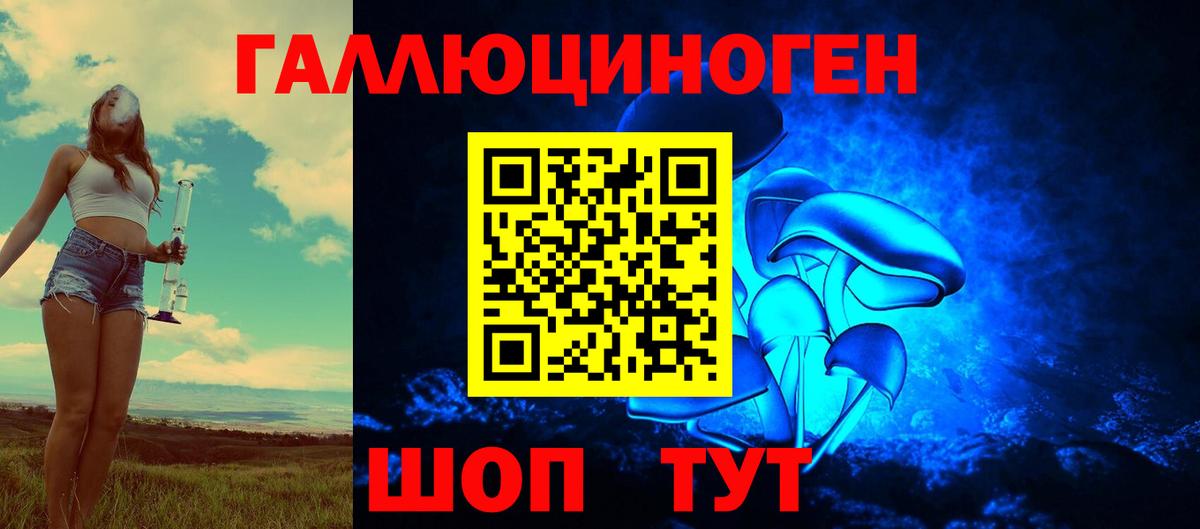 Лосино-Петровский  Псилоцибиновые грибы MAGIC MUSHROOMS  Вход с VPN 